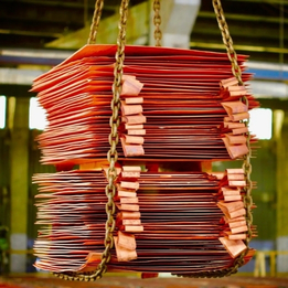 Packaging Process